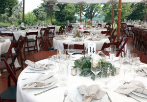 Charlottesville wedding reception photography