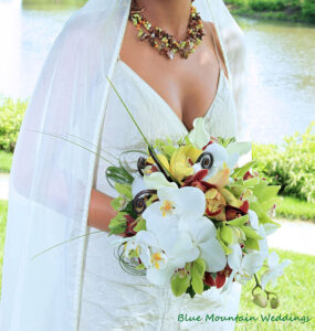 Charlottesville wedding photography